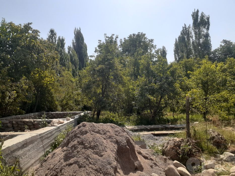 Qoramozorda yer sotiladi