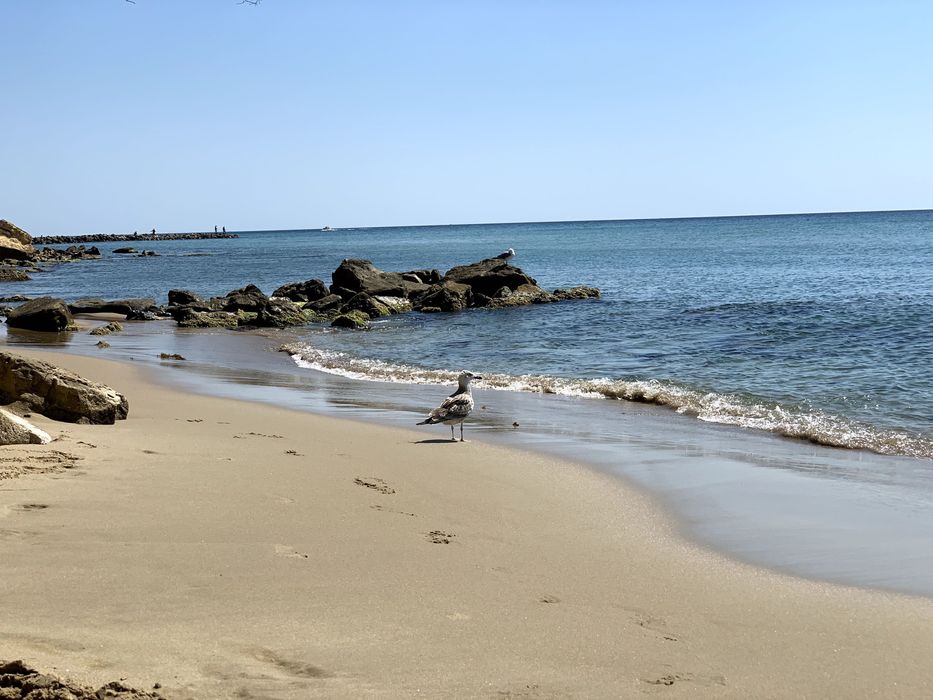 Продава се Двустаен апартамент в Свети Влас - 80 кв.м за 1 €/кв.м - Снимка #14