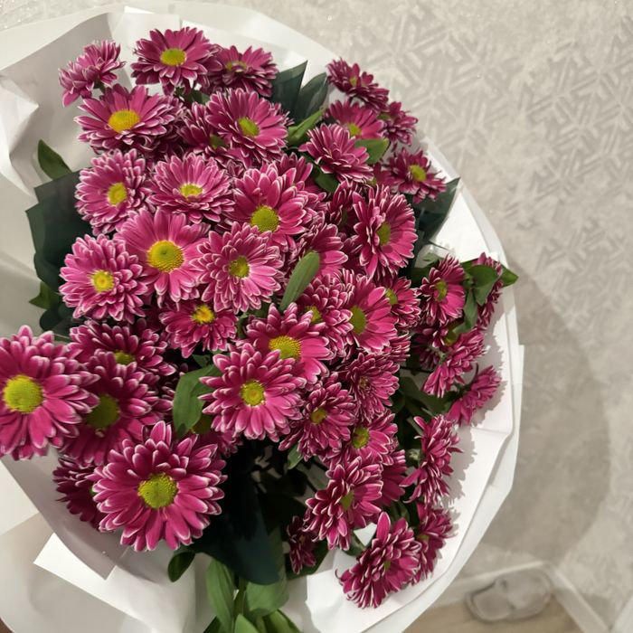 Гүл әдеми цветы гүл