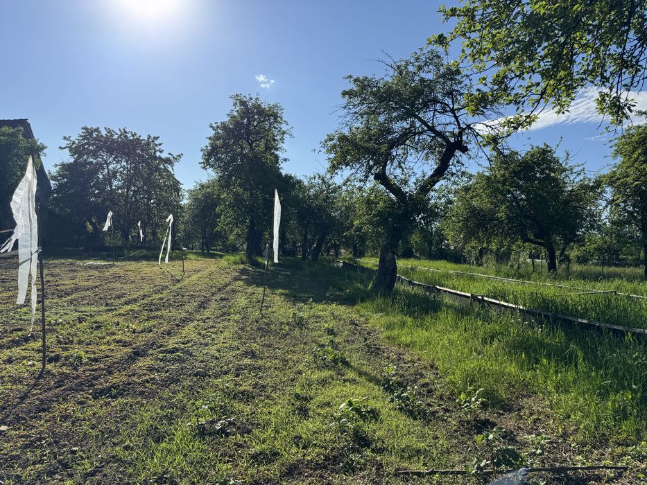 Teren intravilan 3000 mp – CENTRU Budila
