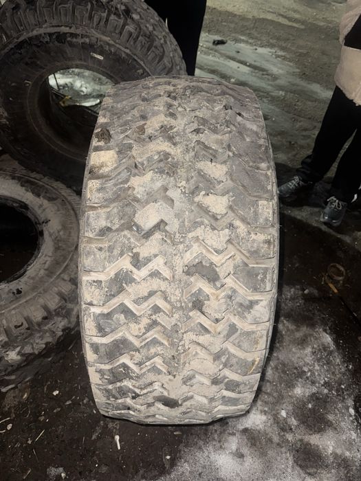 Птс-12 шины продам