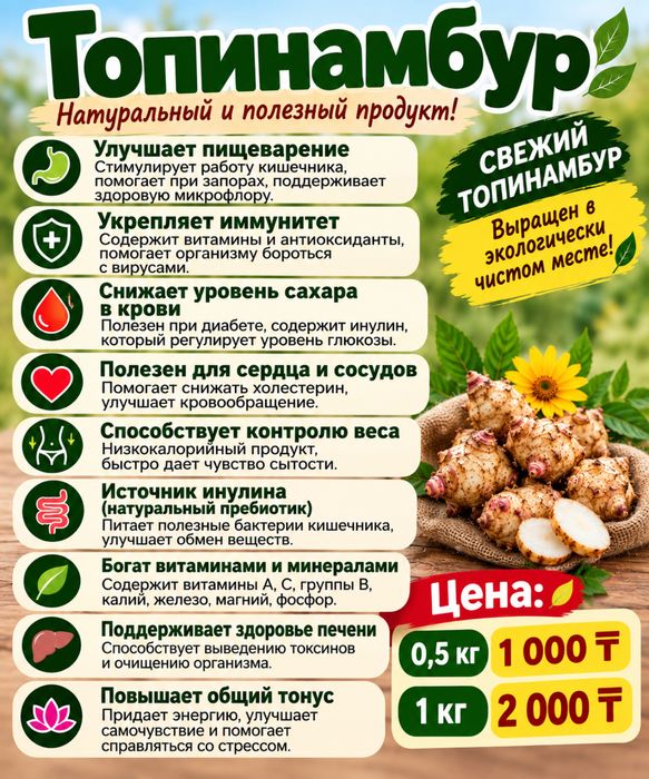 Продам топинамбур