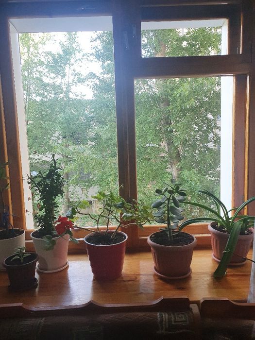 Продаю 2х комн Карбышева 14/2