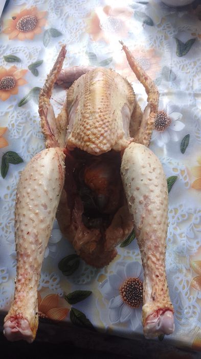 Продам Мясо петушков