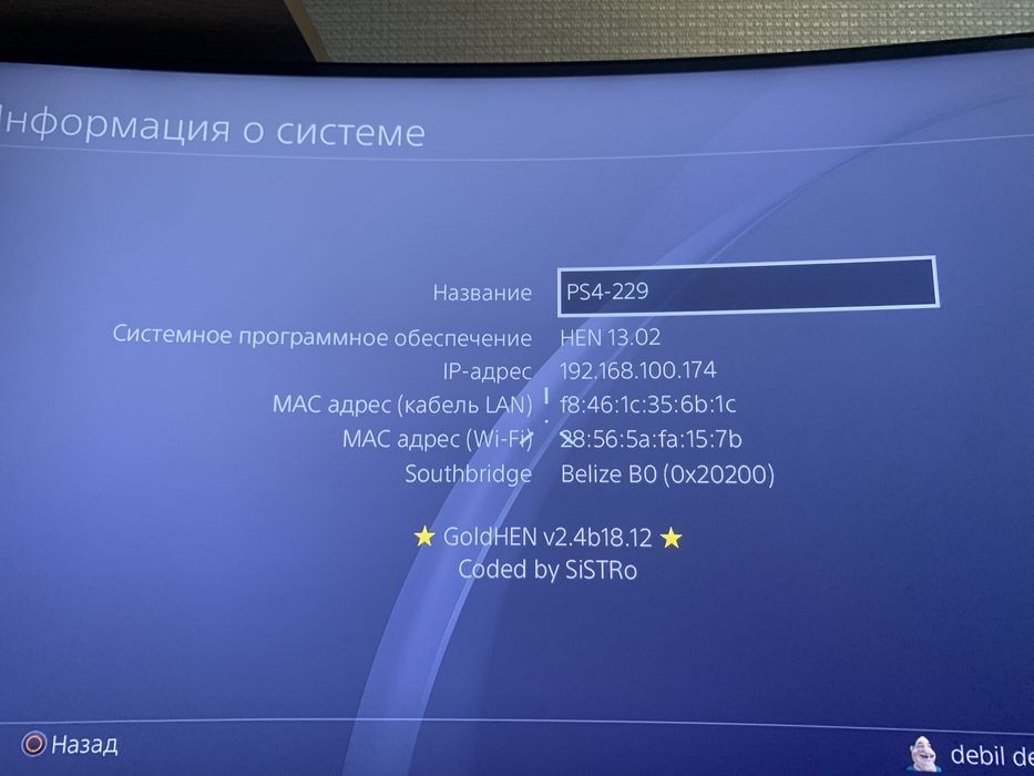 Playstation 4 pro прошитая