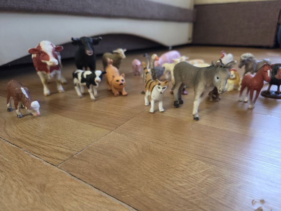 Colectie animale domestice si pasari