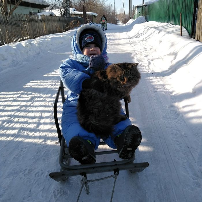 Комбенизоны