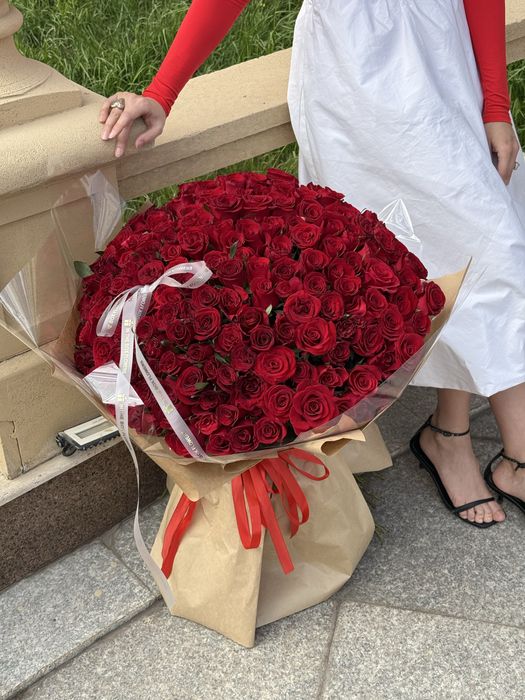 51 красная роза