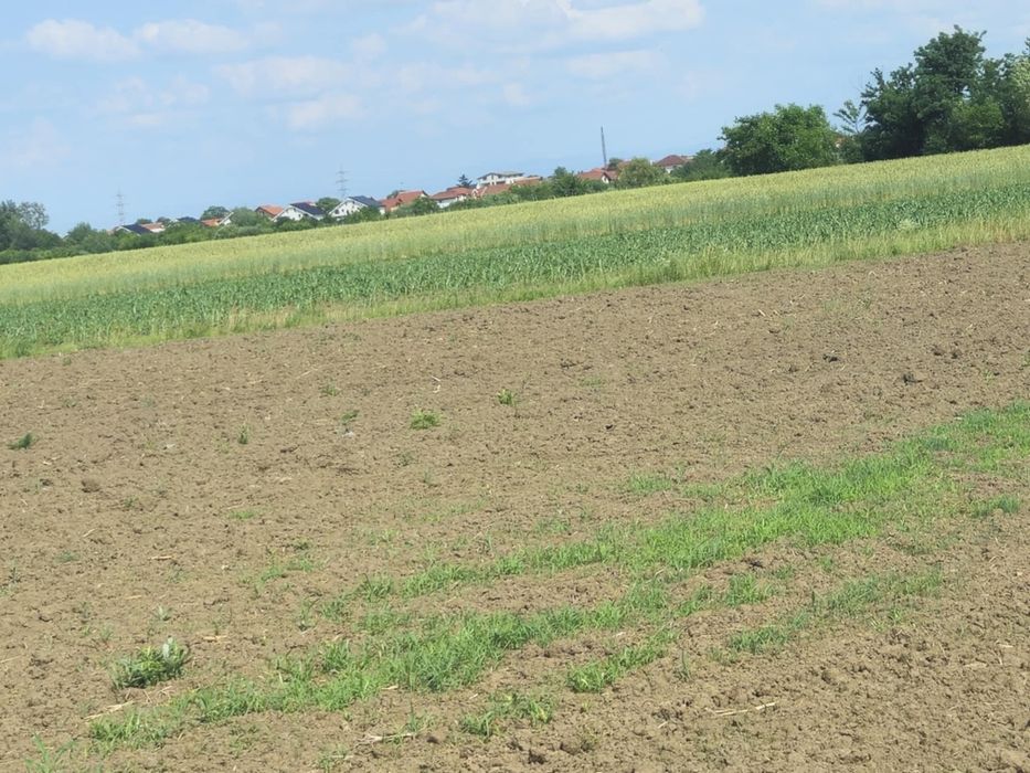 Vind 20 de ari teren