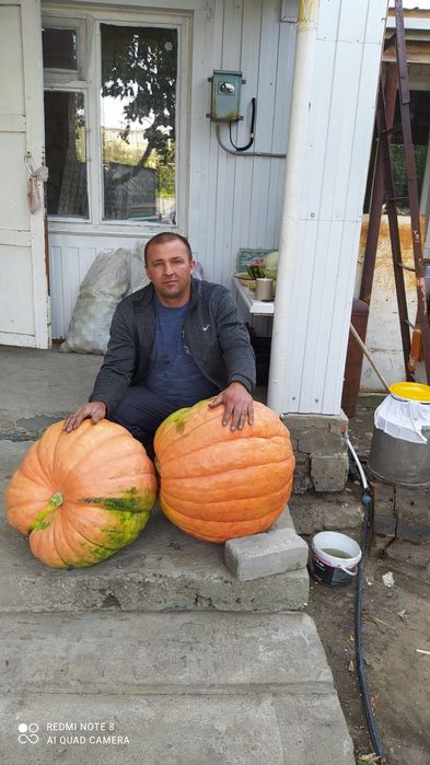 Продам дачу, без долгов