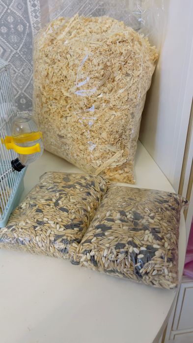 Продаю хомяков с клеткой