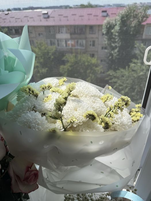 продается цветы свежие