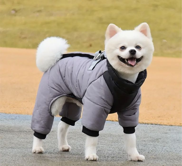 Одежда для собак и кошек! ОЧЕНЬ БОЛЬШОЙ ВЫБОР