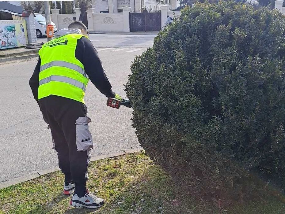 Amenajare și Întreținere Spații Verzi – Servicii Profesionale