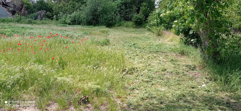 Косене  на трева и други градинарски  услуги