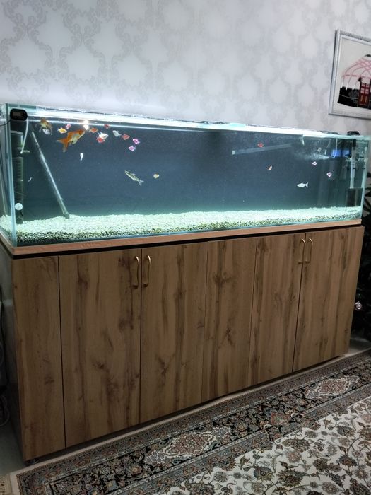 Аквариум сатылады