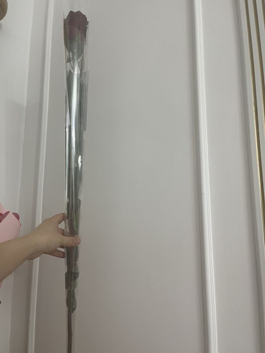 Метровая роза красная