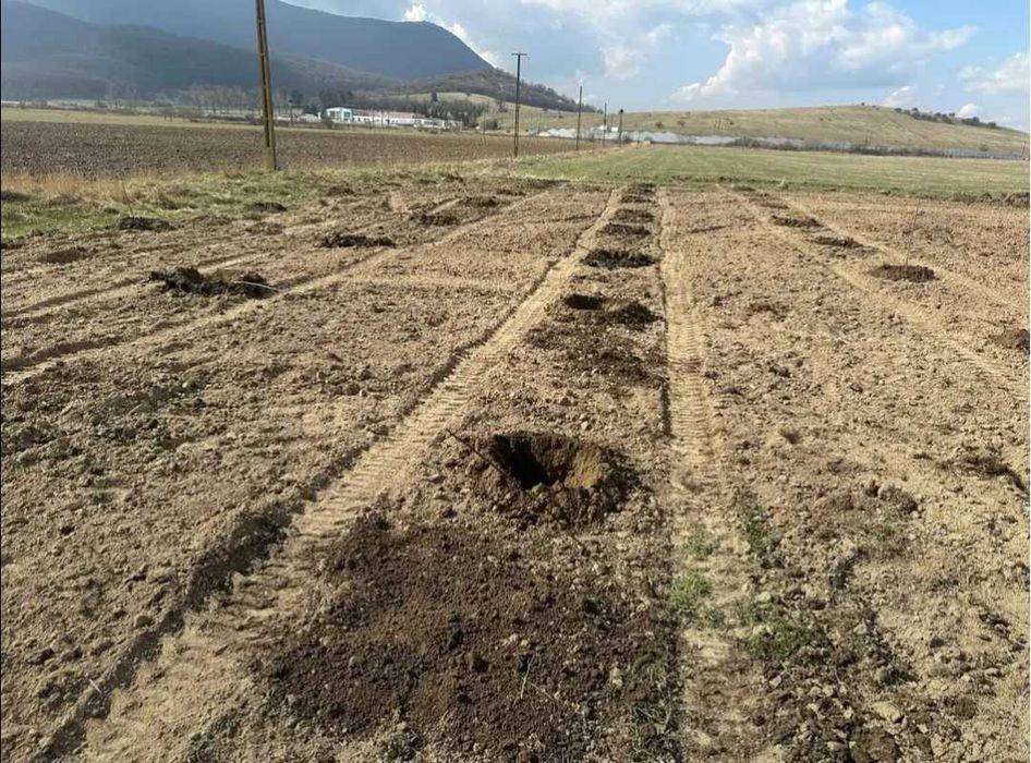 Gauri gard/plantatii pomi/transport basculabil pamant gradina