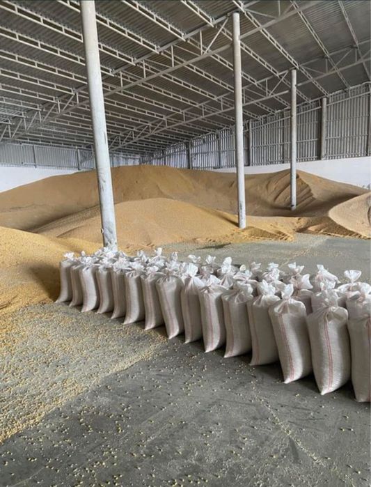 Vând porumb uscat pot oferi si transport la domiciliu