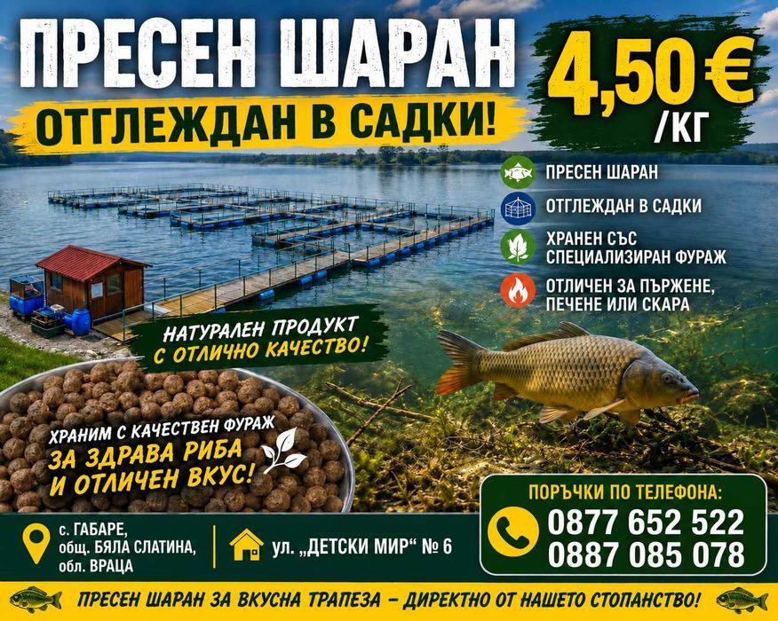 Продавам шаран за кунсомация.Също така записвам заявки за зарибител шаран