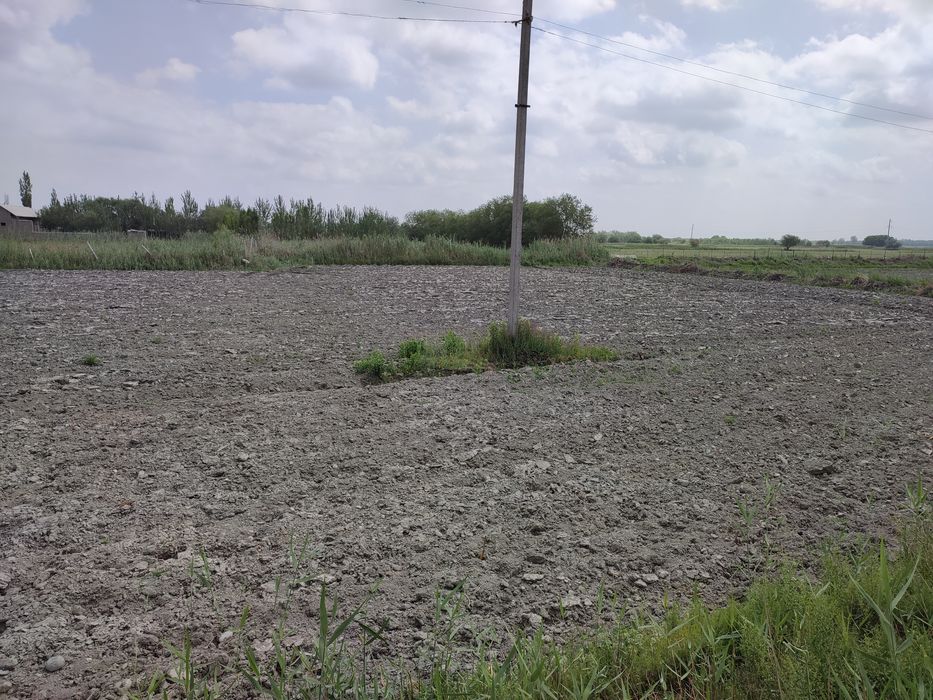 Ер сотилади Кукон атрофида.