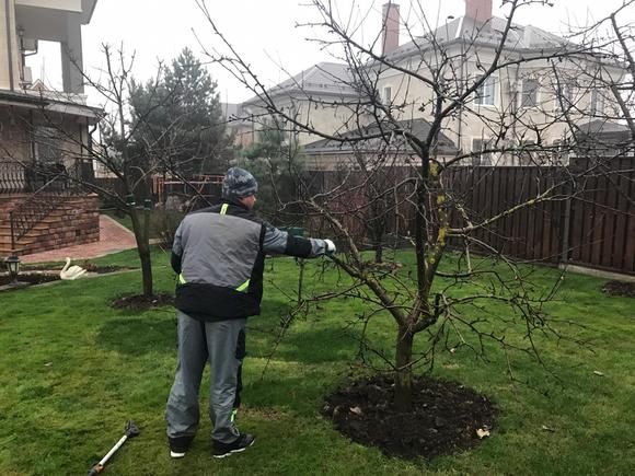 Садовник весенняя подготовка Обработка, стрижка, обрезка деревьев.