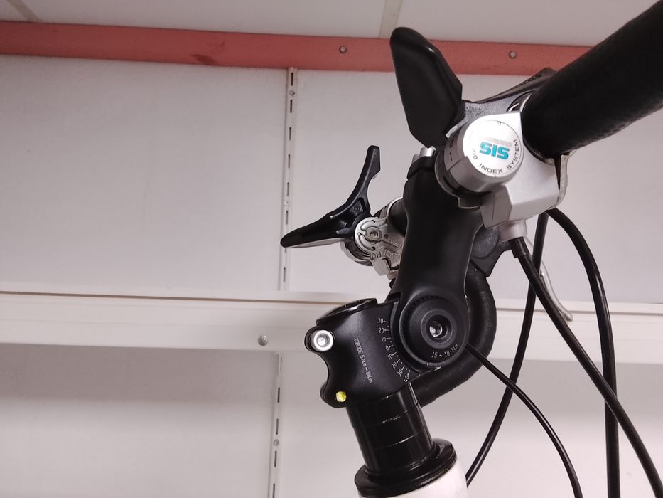 Cursiera momo simano germania