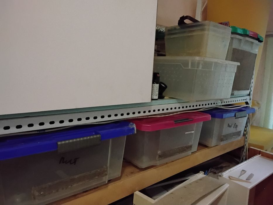 Контейнеры разные для  рептилий