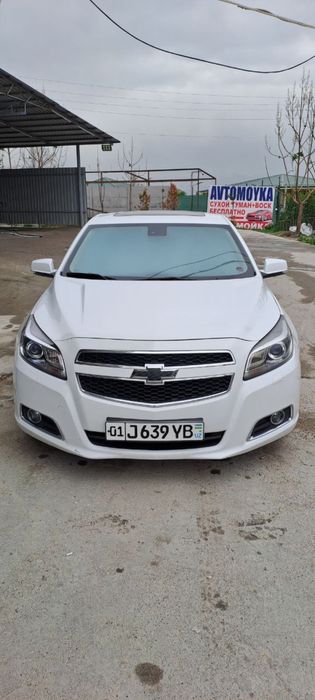 Malibu 1 3 Пазитсия