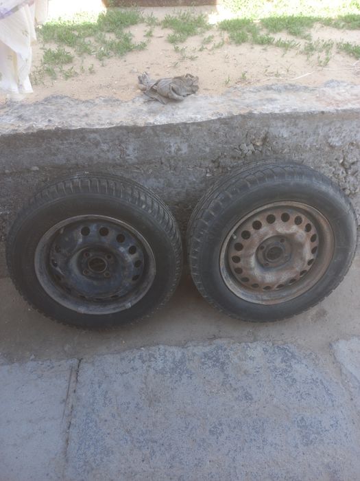 Кыстык донгелектер