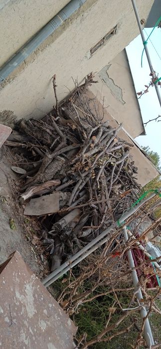 Утин сотилади. Нархи 2млн сум. Яна келишамиз  срочно