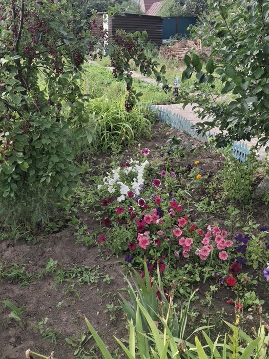 Продам дачу ск локомотивное 10