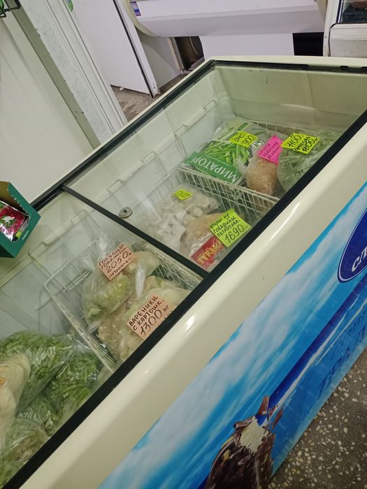 Морозильная камера