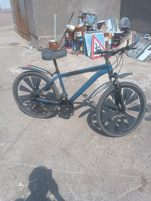 Velasapet 26 7skorli