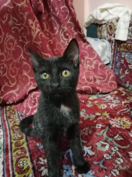 Мальчик 6 месяцев