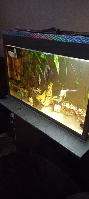 Аквариум 160 литров