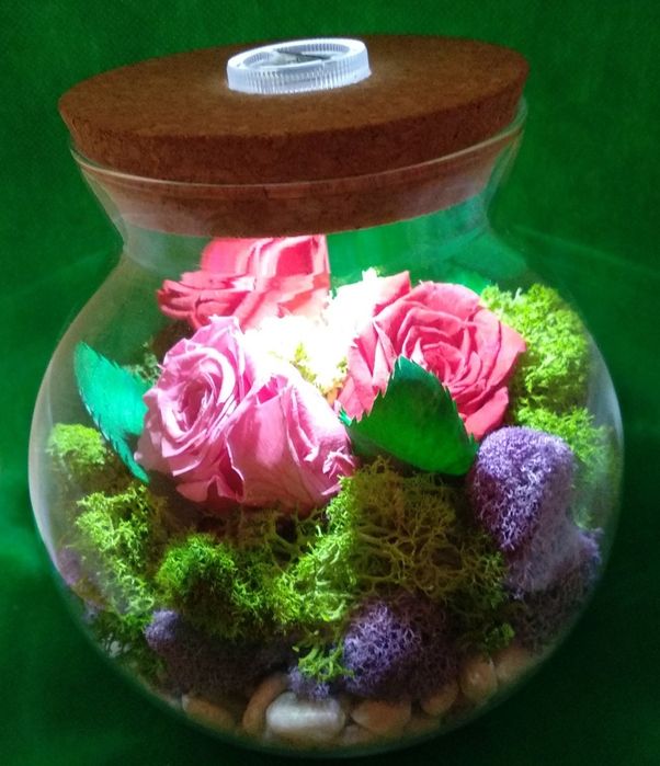 Флорариум ручной работы.