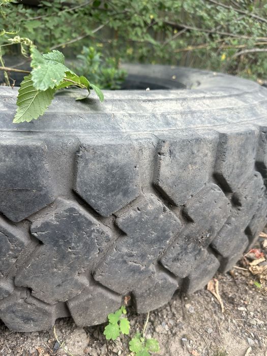 13 r 22,5 с диском и без диска резина