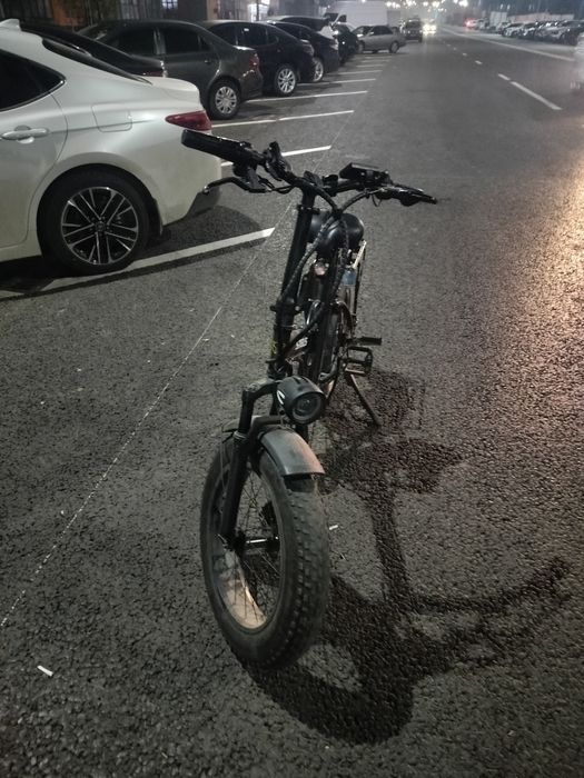 Электро велик леопард