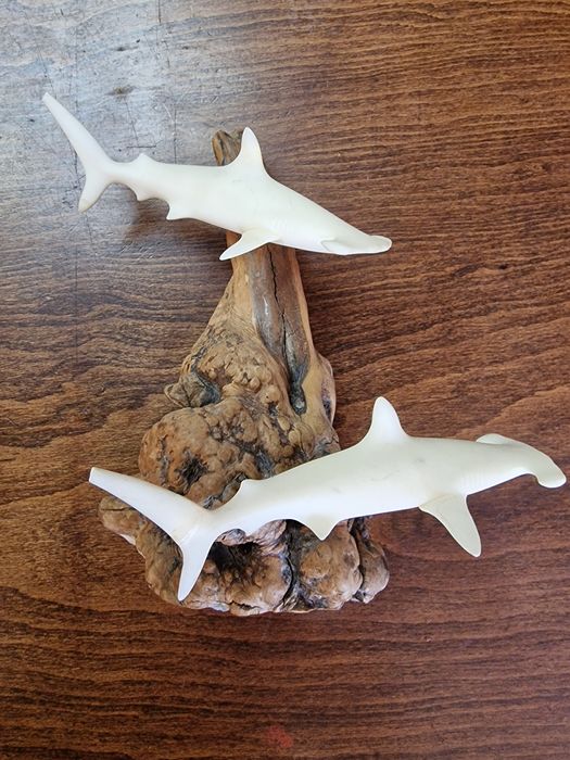 Скулптура на акули чук на Джон Пери от 1973г