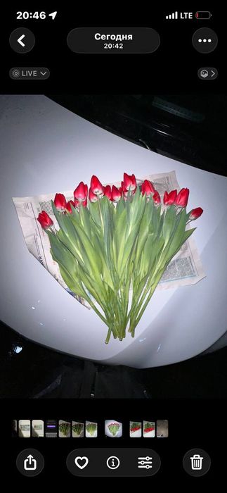 Lola gul optom narxlarda