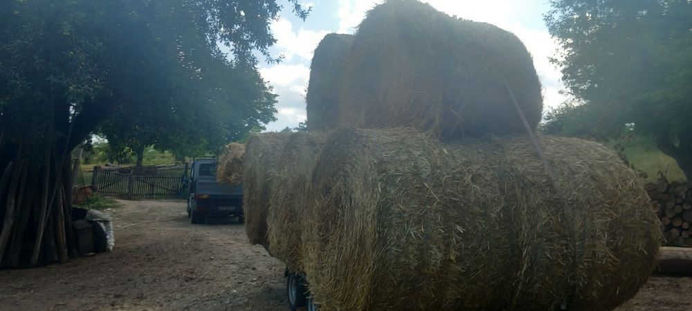 Fan pătrați și rotunzi 2026