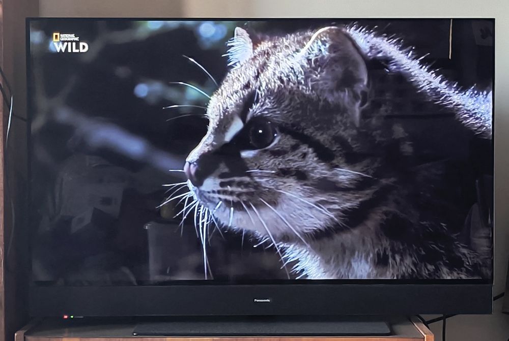 Panasonic TV42Z90AE9 OLED, 106 cm, 4K UHD, HDR, Smart TV 2024 Germania