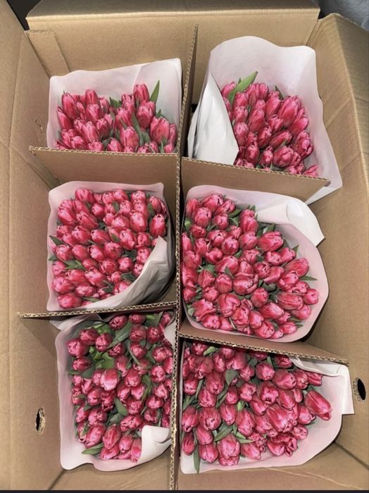 Тюльпаны оптом и в розницу