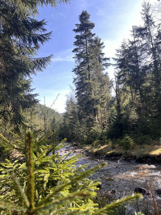 Teren de vânzare cu căsuță A-frame in Valea Ierii