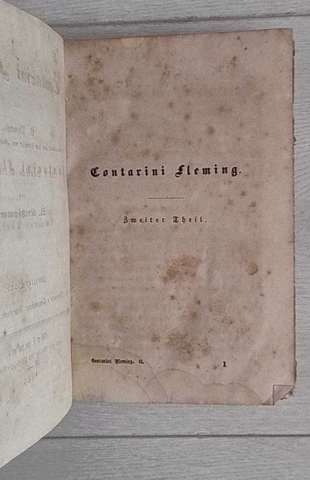 Contarini Fleming - de Benjamin Disraeli