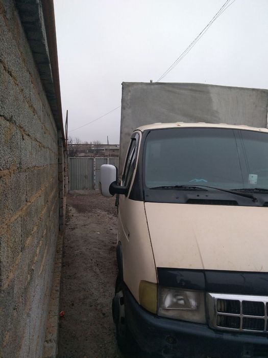 Gazel газель gazelle