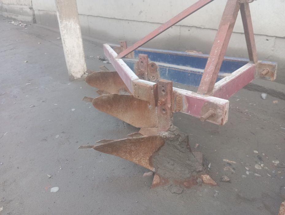 Pulik sotiladi narxi