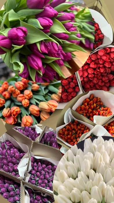 Тюльпаны оптом Петропавловск