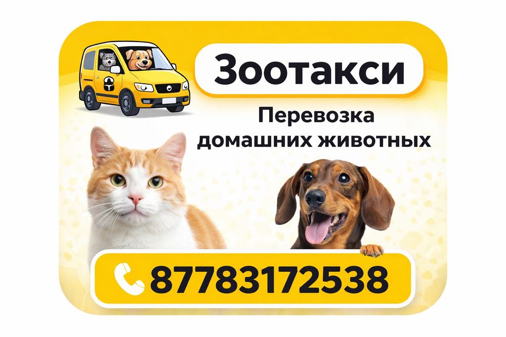 Зоотакси перевозка животных